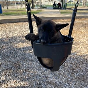 Meet your Posher, Brook